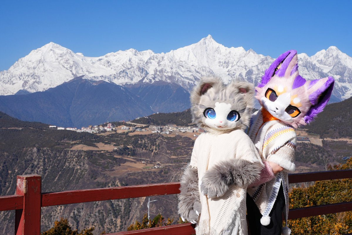 碳丸·炭まる🐟 tweet media