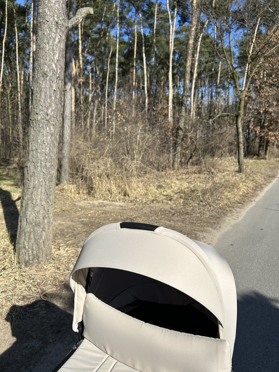 narryflicker's tweet photo. Nothing better than a walk with my daughter and some new music on shuffle on a beautiful day 🎶🌞 #KATTDO https://t.co/GRJ5B62pZa