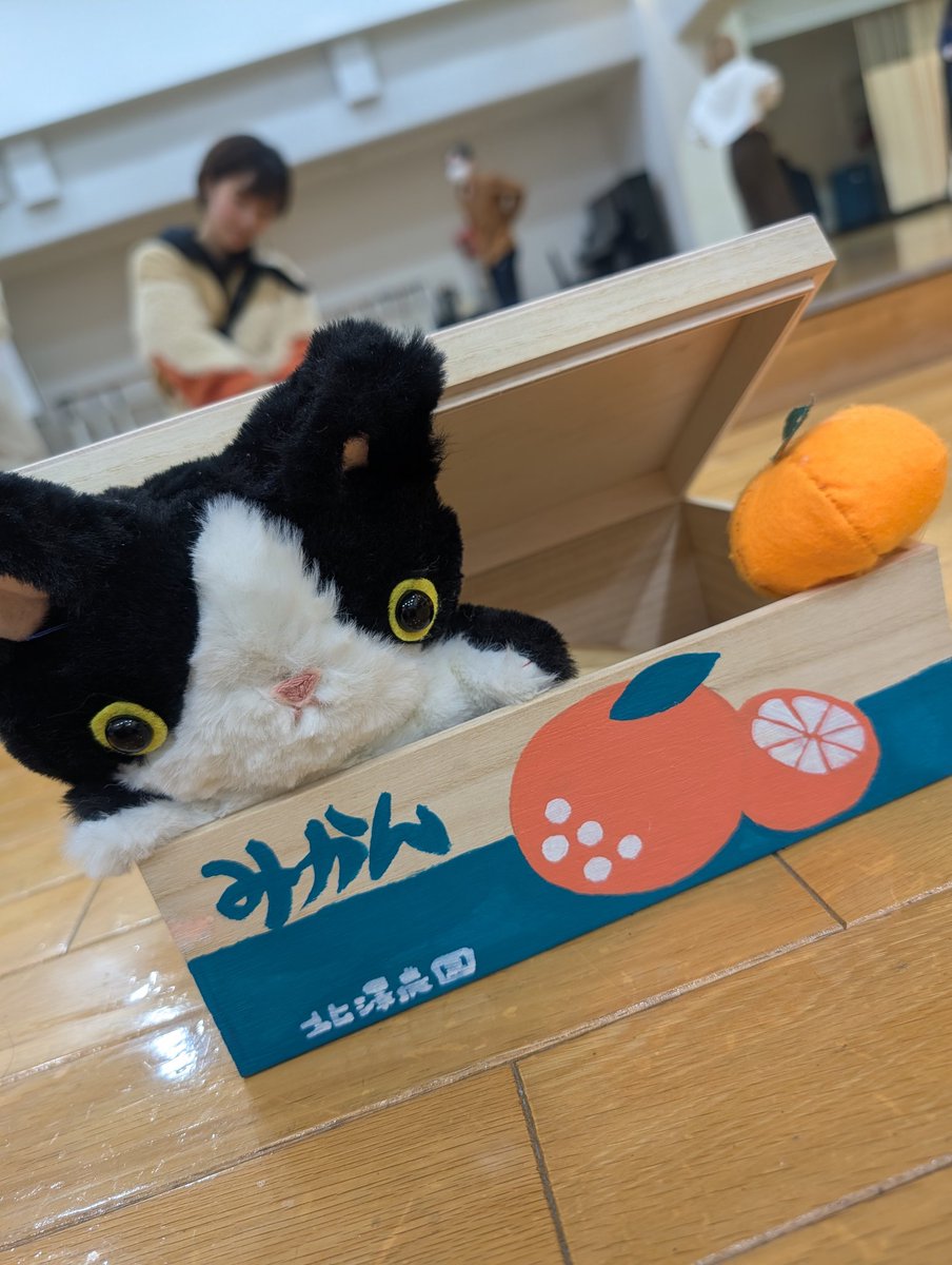 北澤 小夜子 Sayoko Kitazawa tweet media