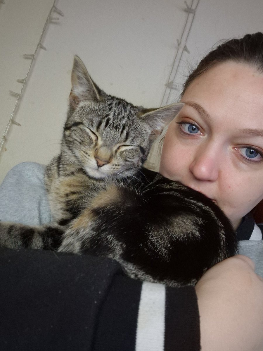 Wet and miserable day 😞 Having snuggles with Opal while fixing a few things on my twitch!

Hope everyone has a great friday 🌸🫶 

#kittycuddles