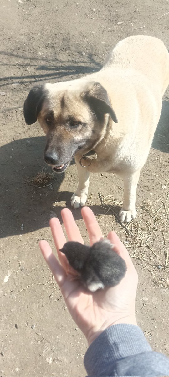 Boyut farkı 🥹🥹🥹