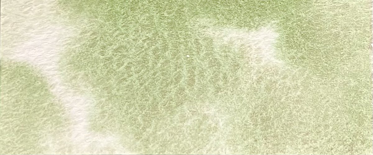 春を感じる色〜！