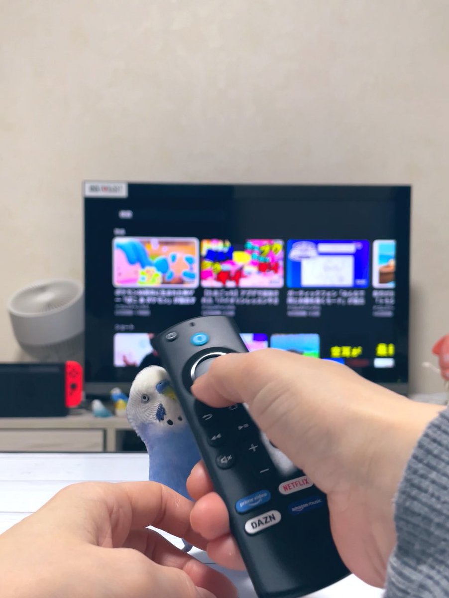 鳥頭 tweet media