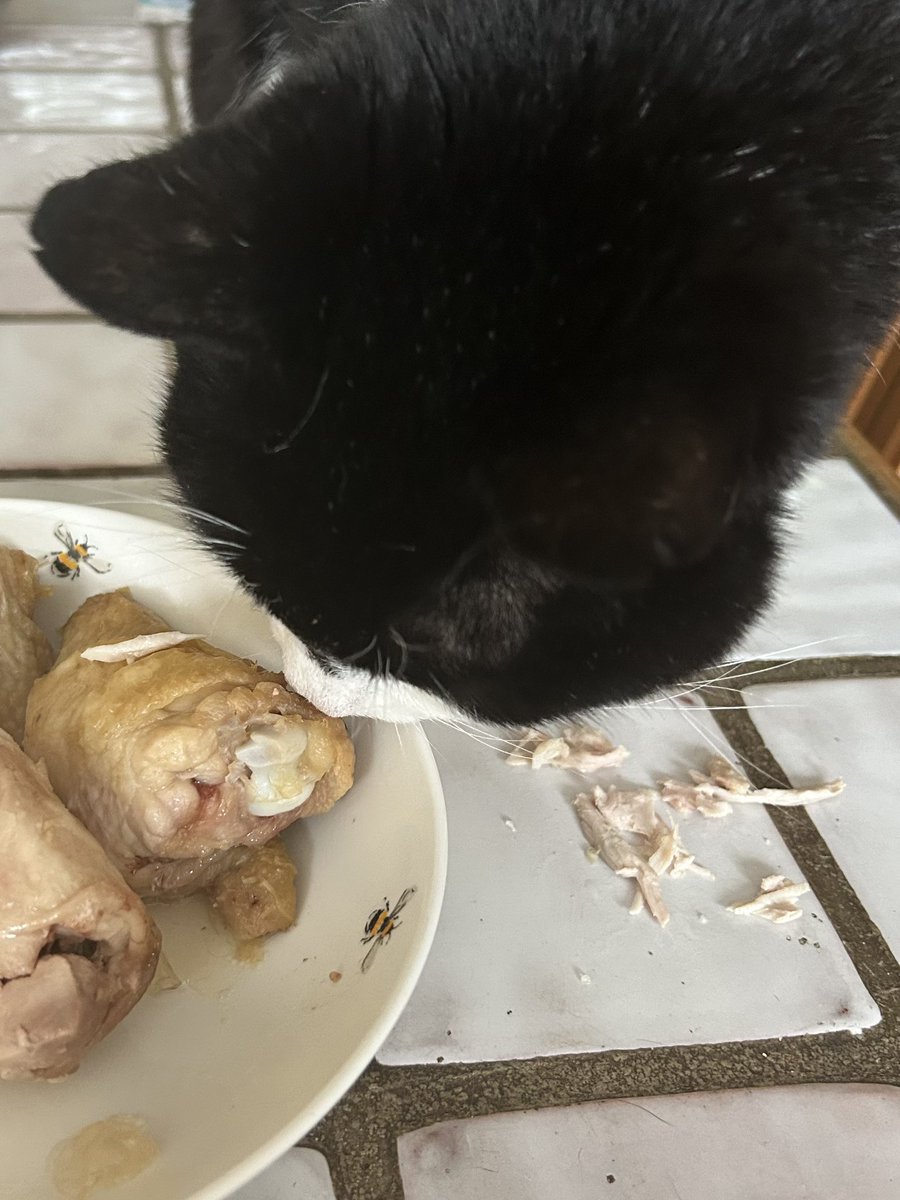 D.V. Catt tweet media