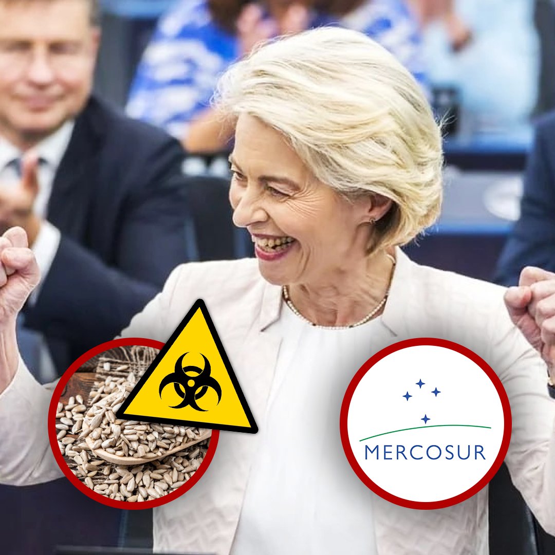 Ewa Zajączkowska-Hernik tweet media