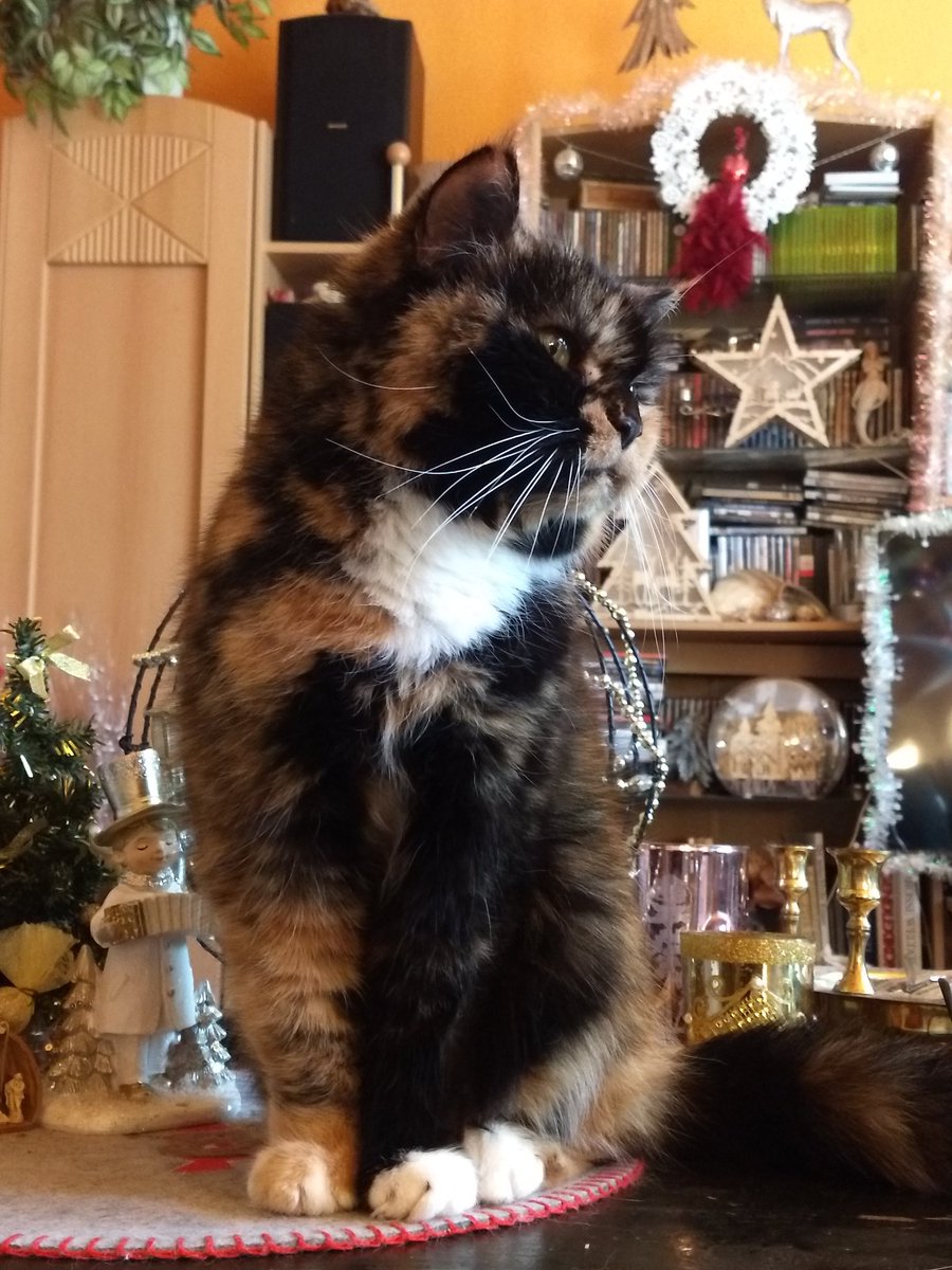 Jessica Heindorff tweet media