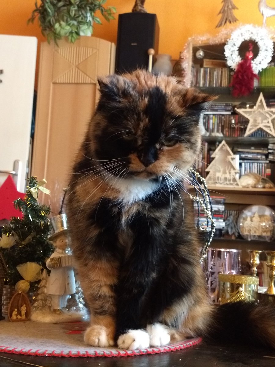 Jessica Heindorff tweet media