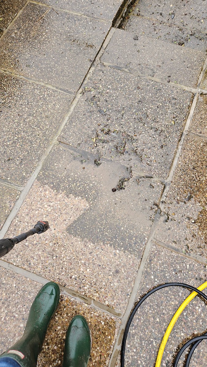 Anita💚✨️ tweet media