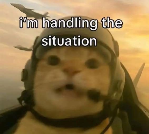 ElevatorVibes (Comms Closed) tweet media