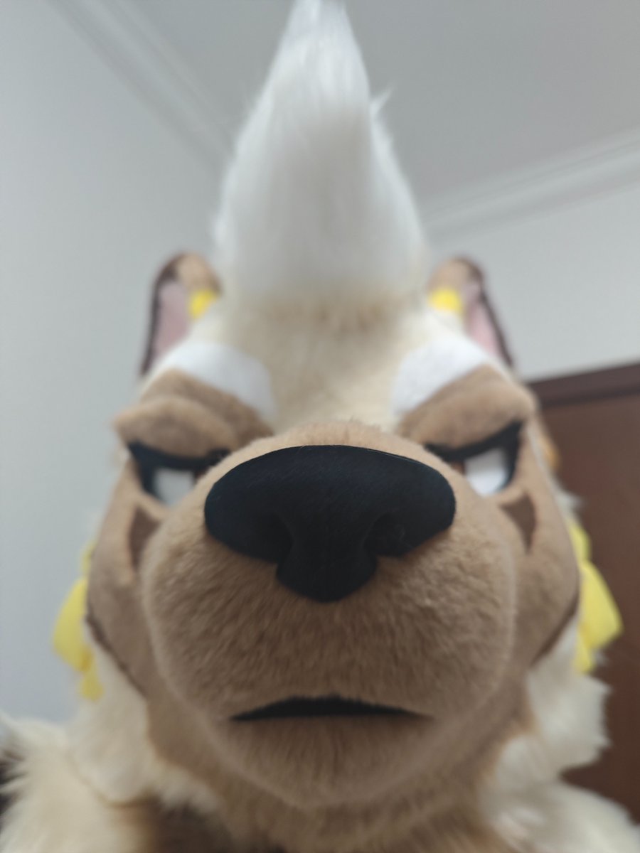 乌绒造物社Wurongcat Fursuit Studio tweet media