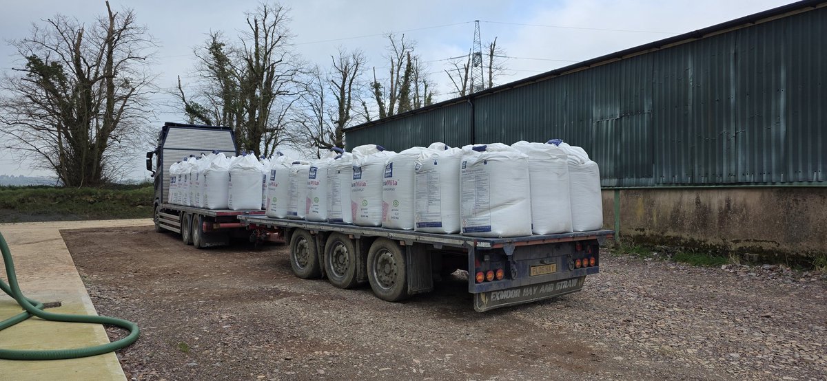 Am2pm travel tweet media