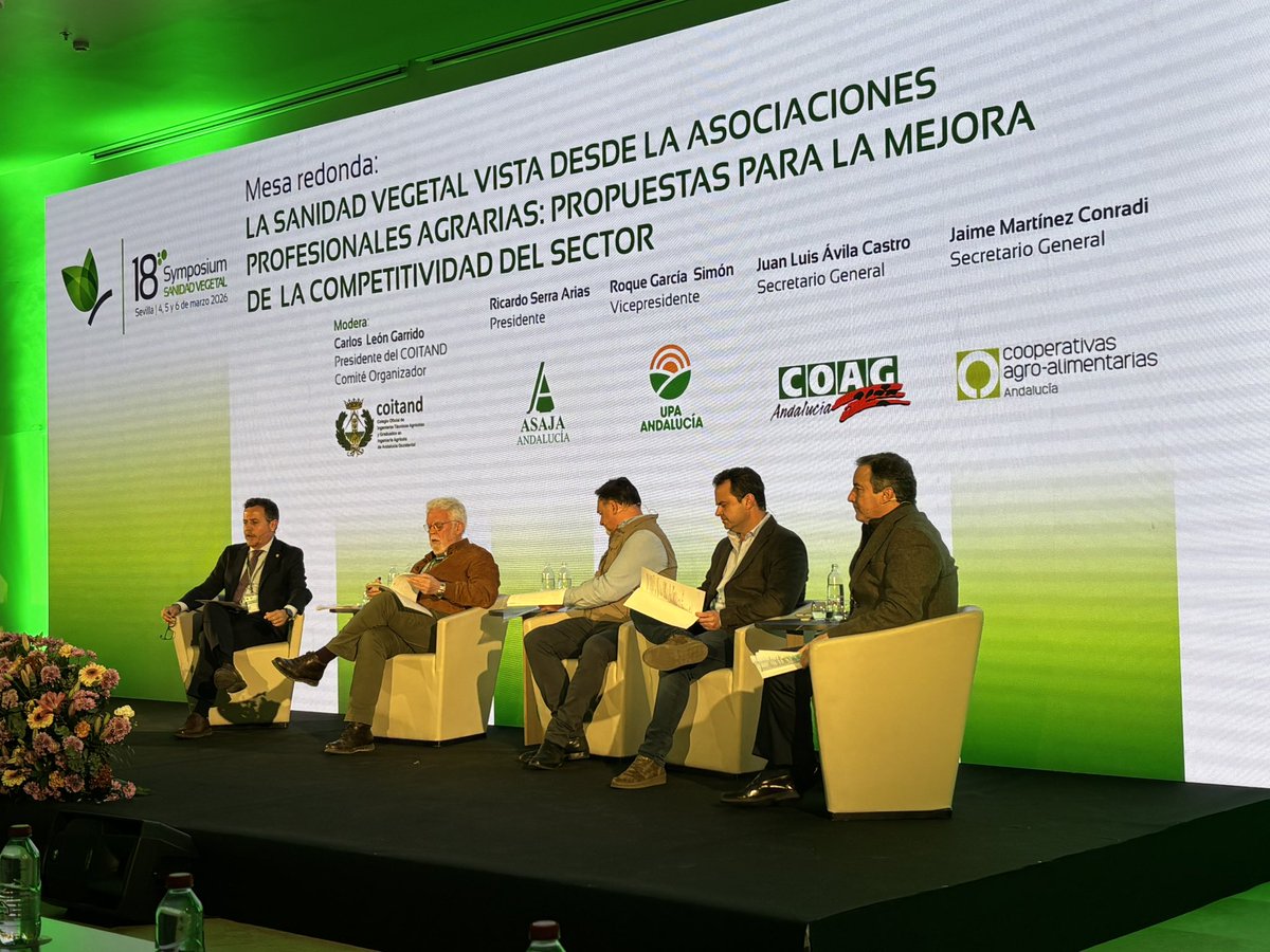 Ignacio Solís Martel tweet media