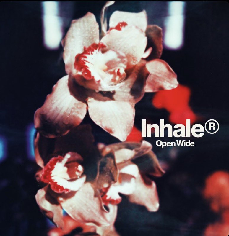 percy jackson tweet media