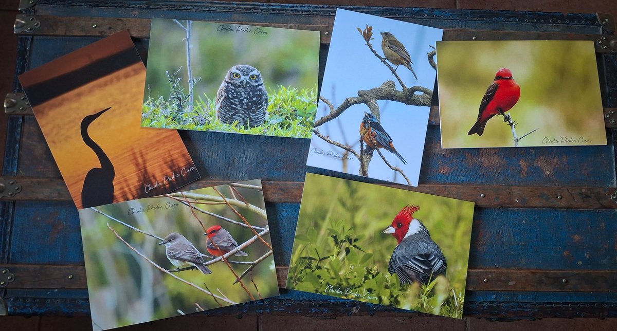 Loca Un Poco 🌼 🪽 tweet media