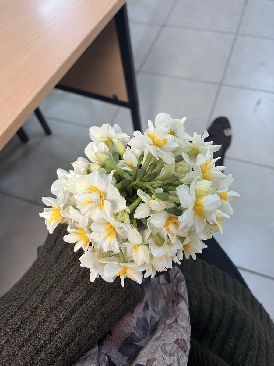 Sibelsvr12's tweet photo. https://t.co/Xsu5tYo5U8