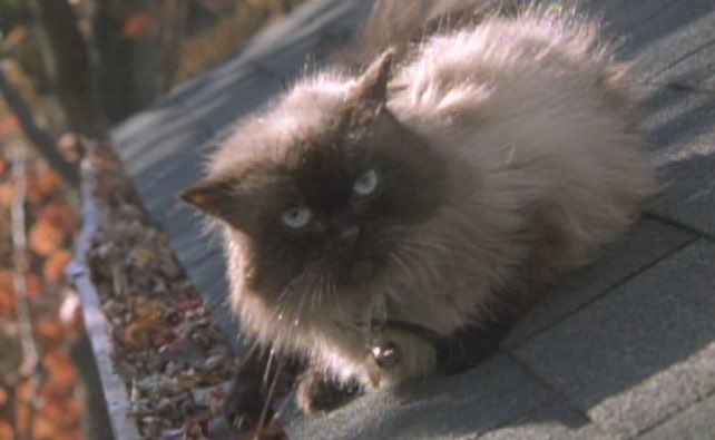 Christian Red tweet media