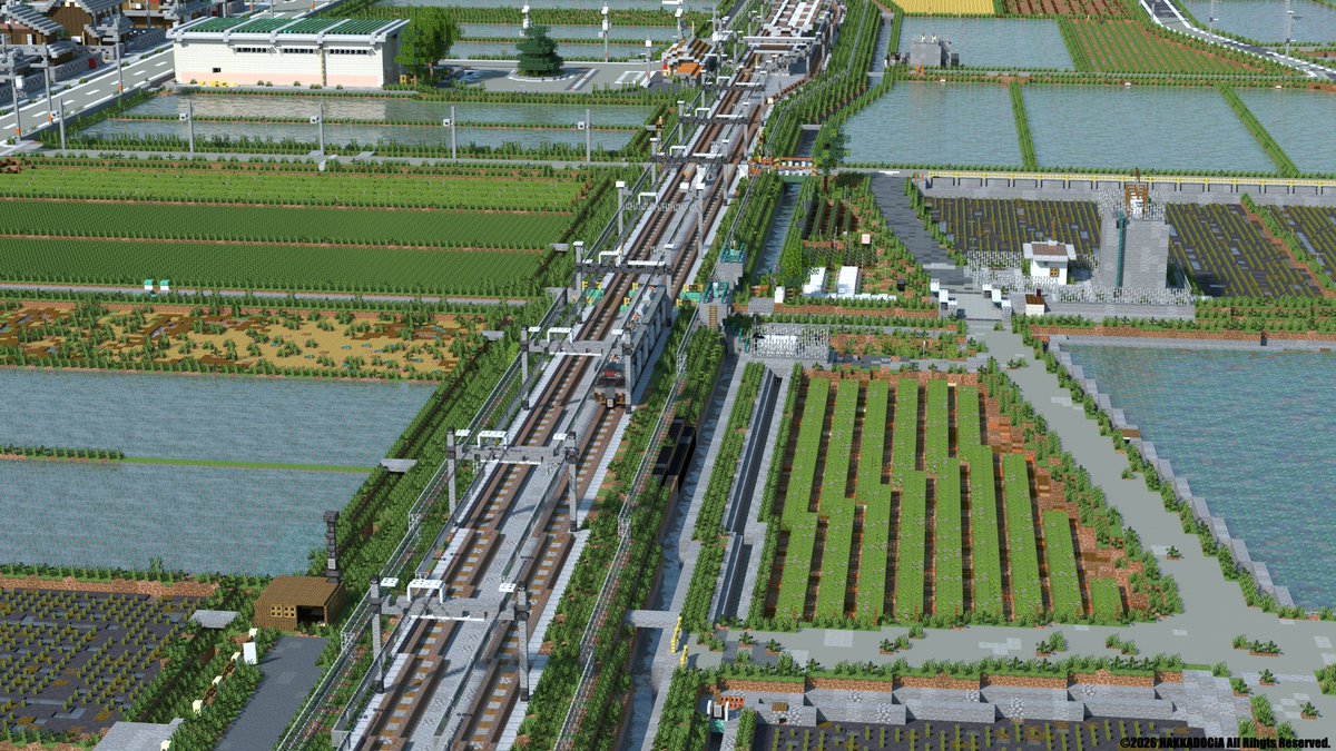 薄荷(ハッカ)/Minspe tweet media