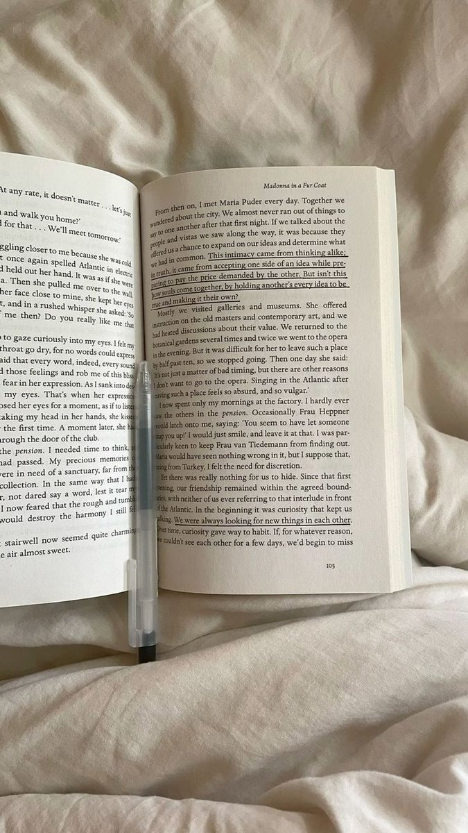 cr: madonna in a fur coat by sabahattin ali