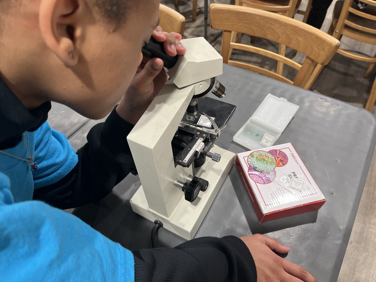 TheGoodFoodie's tweet photo. This week students used microscopes to explore the hidden details of nature. They got to see plant cells, tiny organisms, and patterns they never knew were there. Turning curiosity into investigation and reinforcing our garden as a living laboratory. #GardenSTEM #YoungScientists https://t.co/9Xlszpl4WT