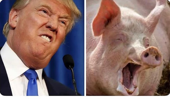 AtehamB's tweet photo. #Pakistan #Iran #Zindabad
#IranWar #IranWar2026 #NuclearWar
Finally I Found This Bastard  @DonaldTrump Childhood Picture
Childhood &amp; Old age Our Same This #EpsteinFiles Child Abuse 🐷
Death To #America @DonaldTrump
Death To #Isreal @netanyahu https://t.co/tYJqkUtoC1