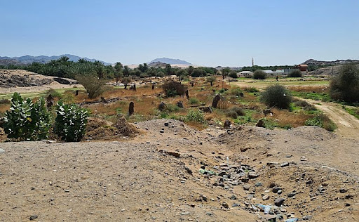 Muslim Landmarks Explored tweet media