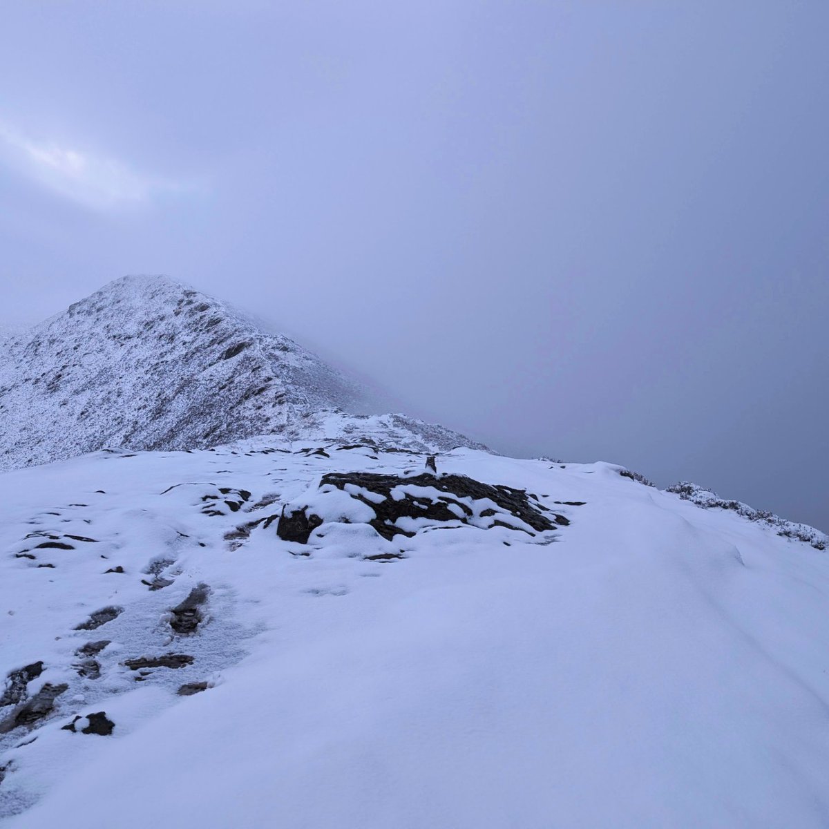 LakesPaul tweet media