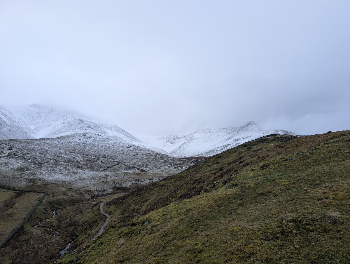 LakesPaul tweet media