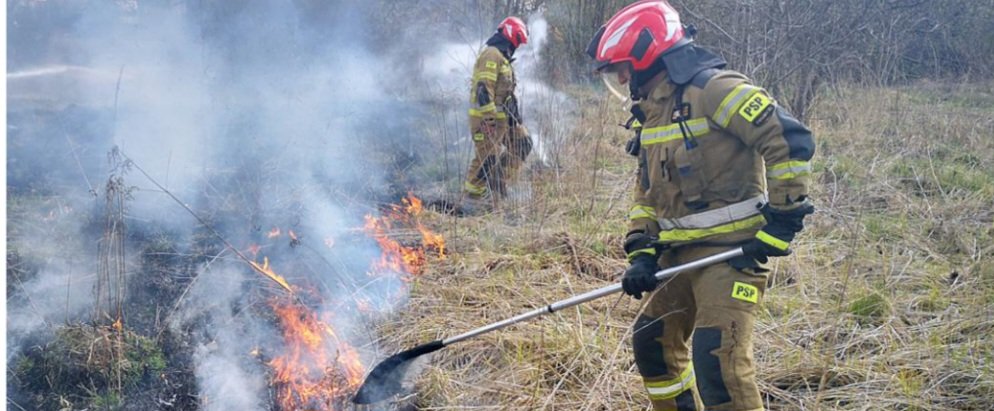 🔥🌱👩‍🚒Od poczatku roku straż pożarna w woj. #śląskie odnotowała ponad 1️⃣5️⃣0️⃣ pożarów traw i nieużytków rolnych o powierzchni ponad 15 ha. Tylko w marcu strażacy gasili już 9️⃣0️⃣ pożarów, w których poszkodowana została 1 osoba.
