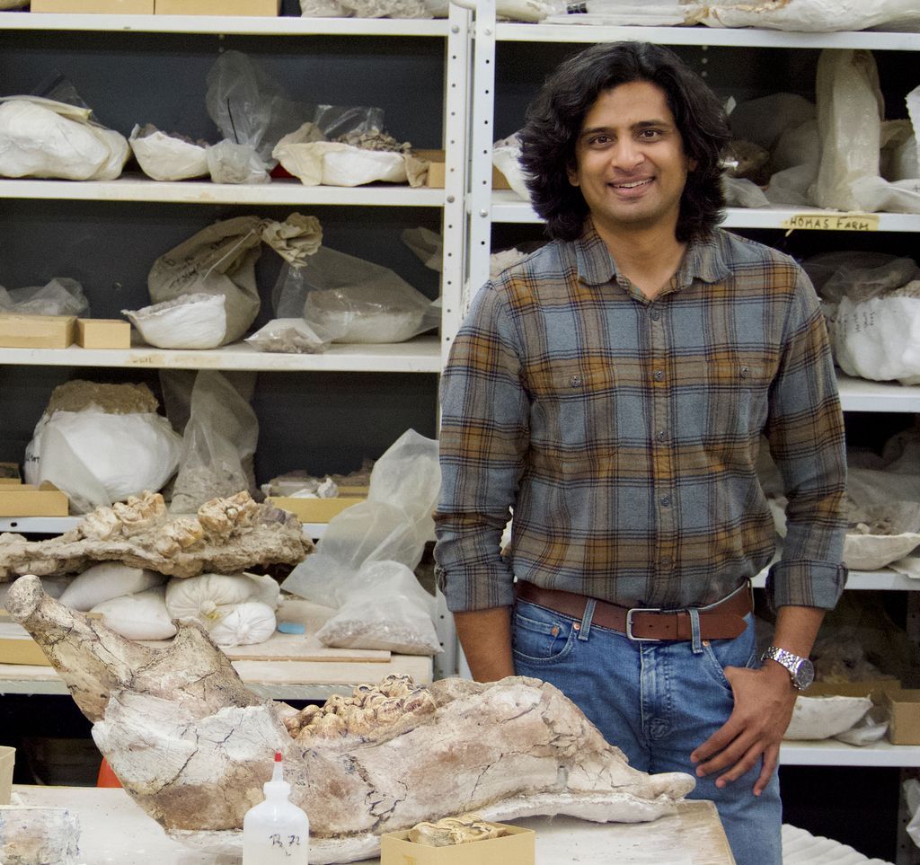 The Anatomical Record tweet media