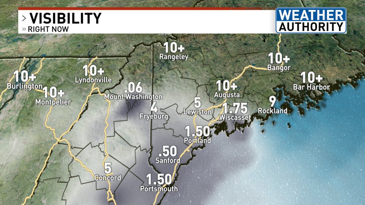 Emily Santom tweet media