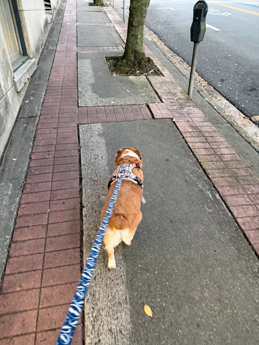 Ron Pierce tweet media