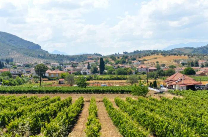 GreekBoston's tweet photo. Corinth 🇬🇷 from the canal to the Acrocorinth fortress. which view would you climb to see first? 📸
#greekboston #bostongreeks #corinth #greece https://t.co/FdKOlk5bvi