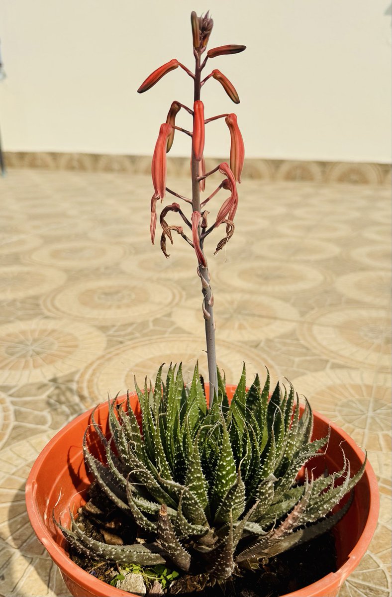 Nature Lover tweet media