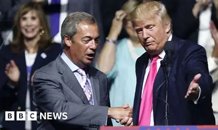 dave lawrence 🐟🐟🐠 tweet media