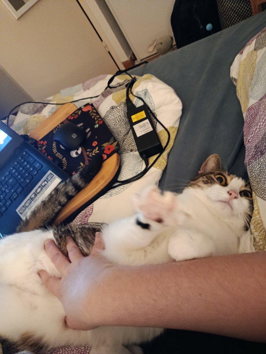 Clemonique 😼 tweet media