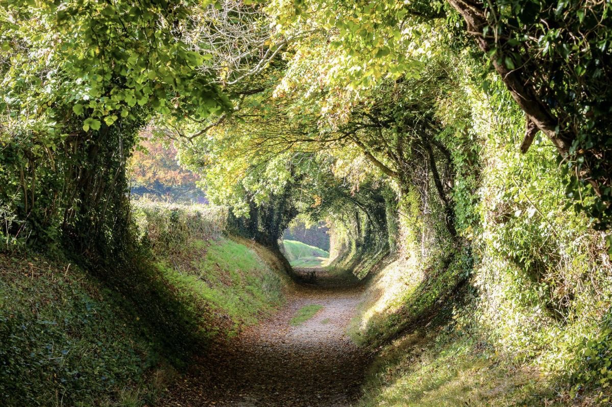 °❀.ೃ࿔* (@wurooods) on Twitter photo 