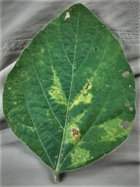 Crop Protection Network tweet media