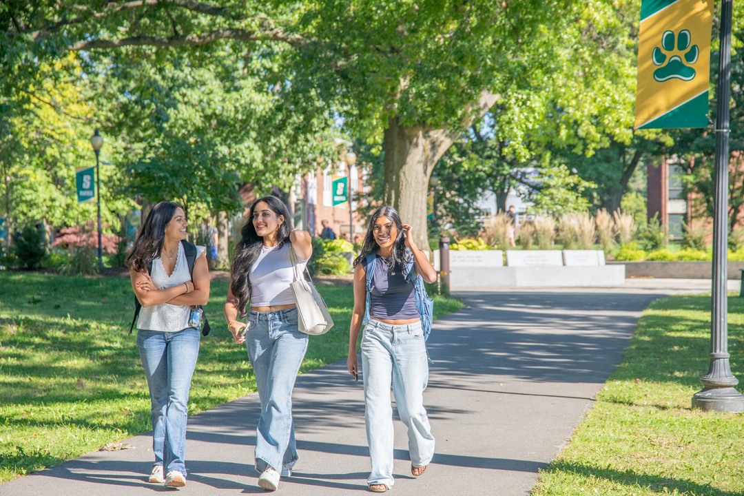 SAGE Scholars tweet media