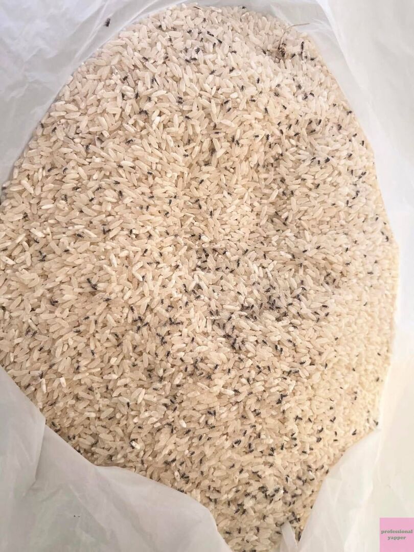 YAPPINGFESS tweet media