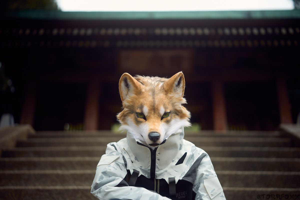 Selly GO Your Heart tweet media