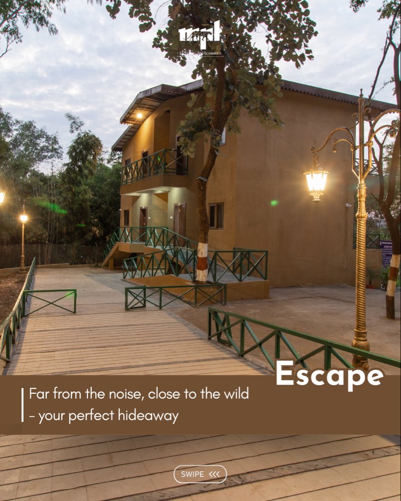 HotelsbyMPT's tweet image. Into the heart of the wild, where comfort meets calm 🌿
From cozy stays and open-air dining to peaceful shikara rides—experience nature like never before at MPT Jungle Resort, Udaigiri. 🍃🚣‍♂️

📍Book your jungle retreat now at mpstdc.com

#MPTourism #udaigiri #jungle