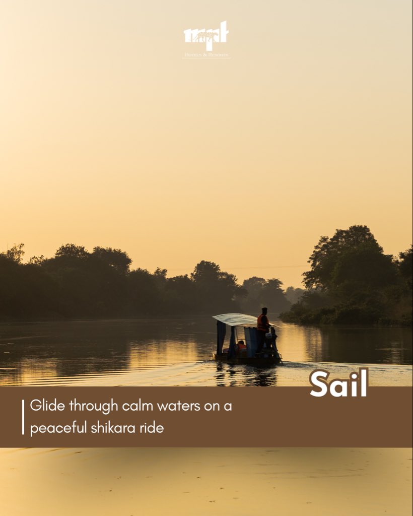 HotelsbyMPT's tweet image. Into the heart of the wild, where comfort meets calm 🌿
From cozy stays and open-air dining to peaceful shikara rides—experience nature like never before at MPT Jungle Resort, Udaigiri. 🍃🚣‍♂️

📍Book your jungle retreat now at mpstdc.com

#MPTourism #udaigiri #jungle