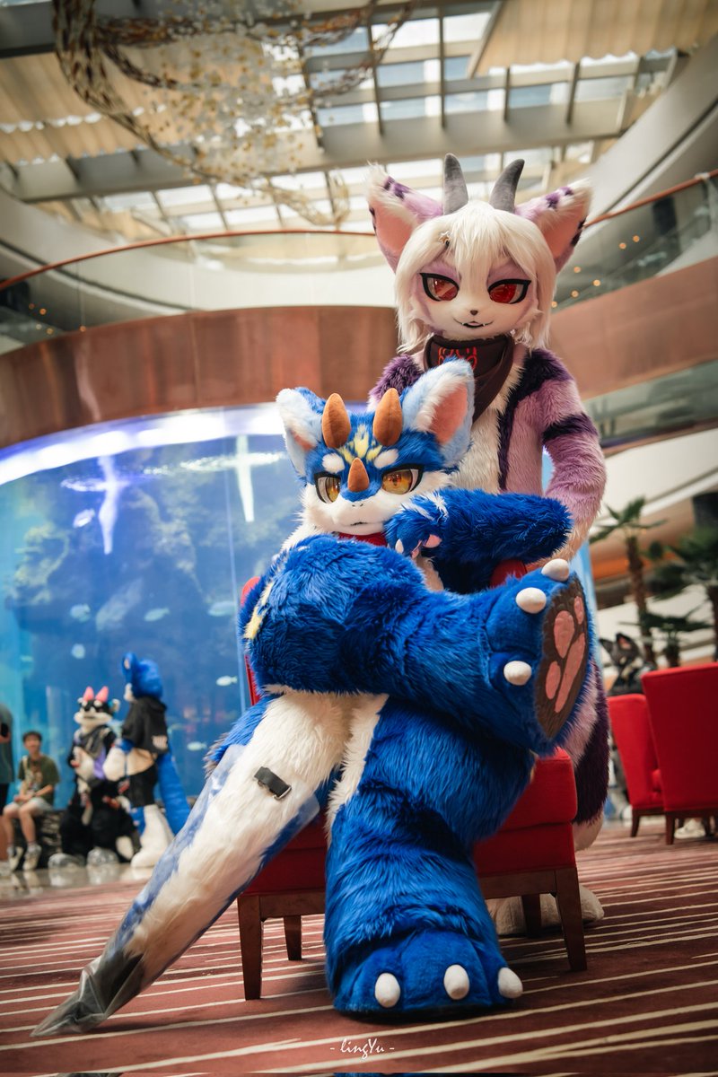 哈克 Huck tweet media