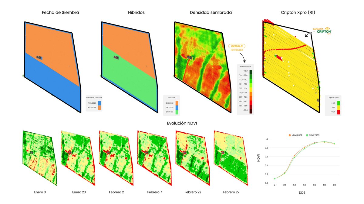 Charly Faricelli tweet media