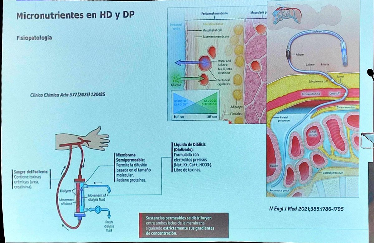 NutriSEEN tweet media