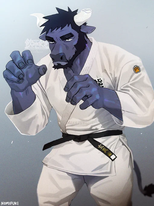 JUDO BULL