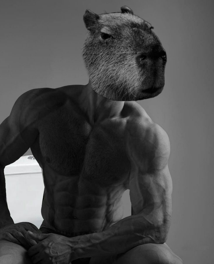 Good morning $Capybara chads 
Lets get to cooking , its friday🔥