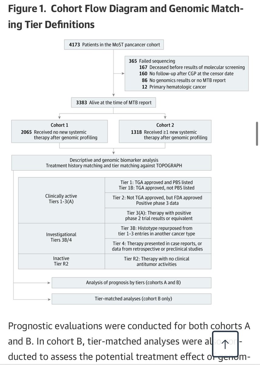 Balazs Halmos tweet media