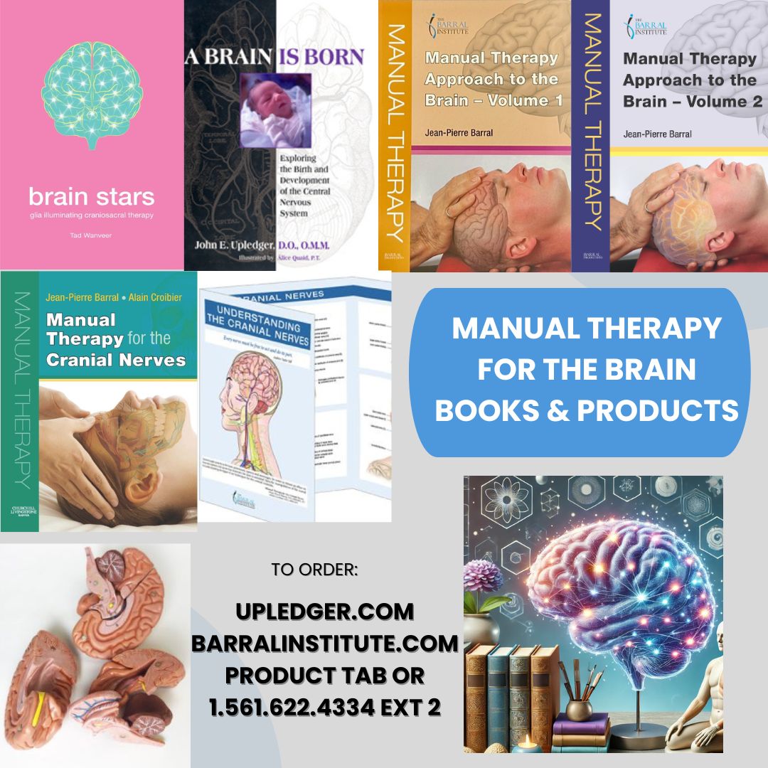 🌸 Spring is a time to refresh your learning.
Explore Manual Therapy for the Brain books and resources to deepen your clinical insight and support clients with neurological challenges.
👉 info.barralinstitute.com/manual-therapy…
#ManualTherapy #BarralInstitute