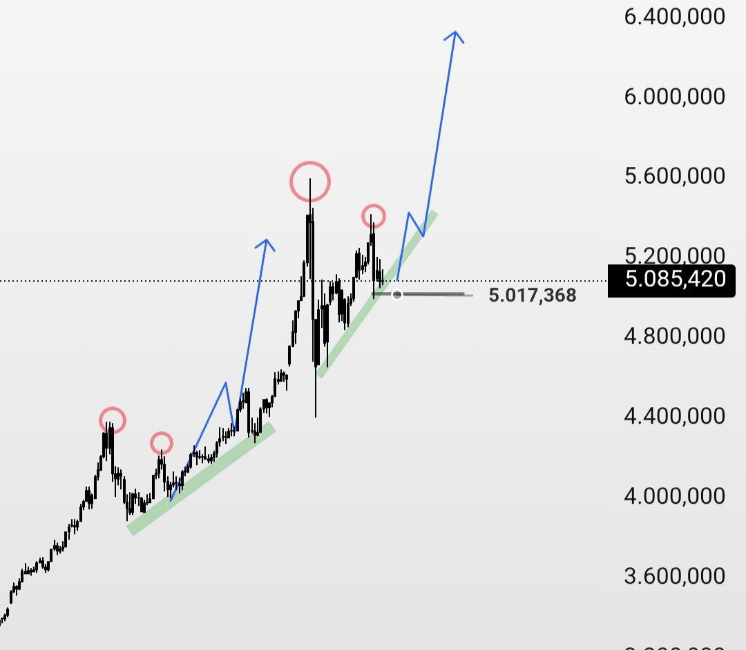 Elif Nur Sarıyel tweet media